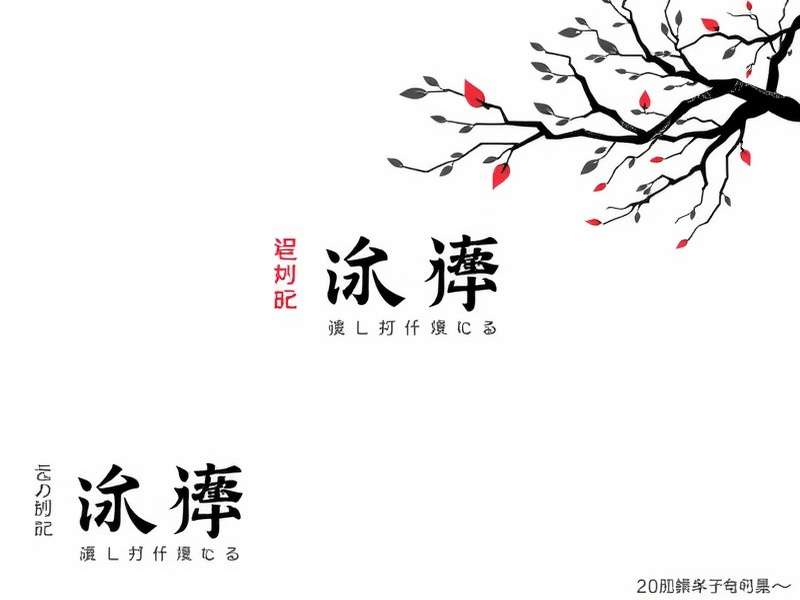 写真集：狂野之夜